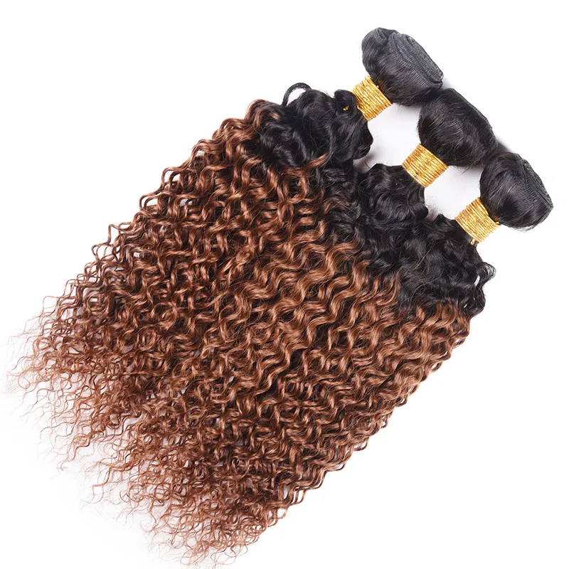 Human Hair Ombre Weave Bundles Kinky Curly Brazilian Virgin Hair T 1B 30 Two Tone Color Ombre Medium Auburn Hair Extension2213131