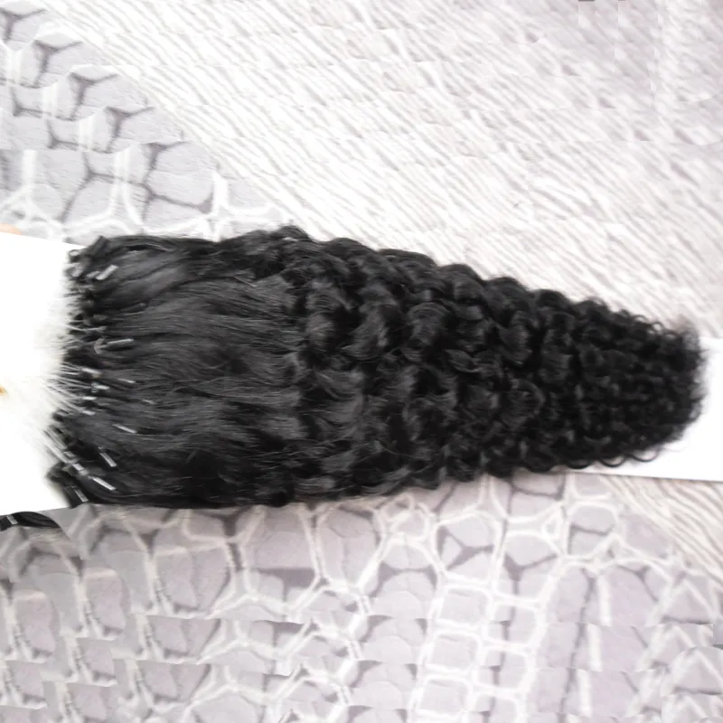 Micro Loop Nano Ring Przedłużanie włosów 1 g/s 100g 100 s Perwersyjne kręcone Włosy naturalne Fusion Remy Włosy naturalne Czarny Brązowy Blond