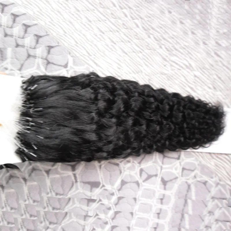 Micro Loop Nano Ring Hair Extensions 1GS 100G 100S KINKY CURLY HURM HIRGE FUSION REMY NARTORY HAIR