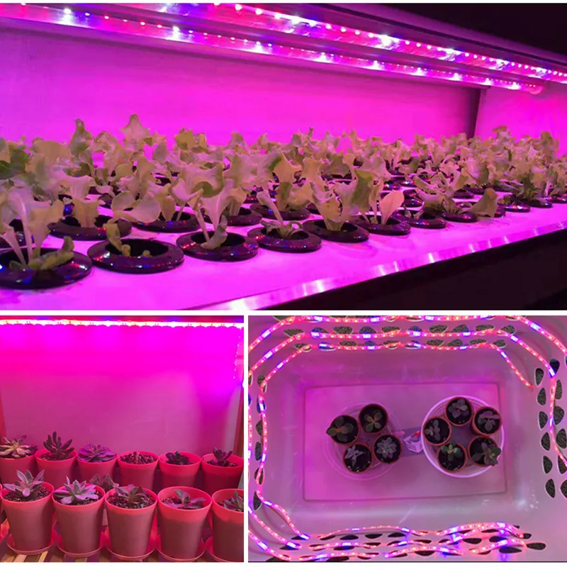 Full Spectrum LED Plant Garland Grow Light Garden With Flower Phyto