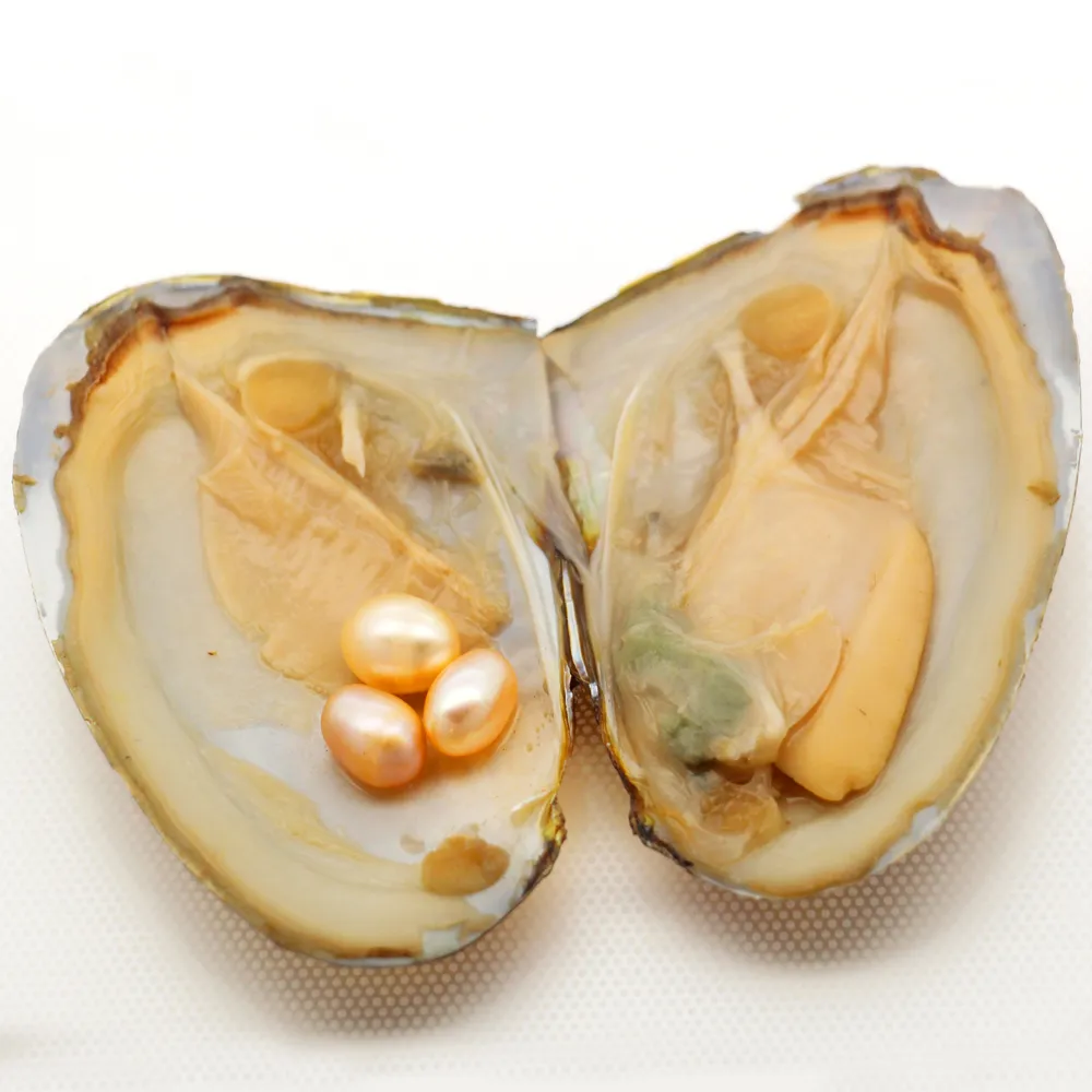 Party Surprise Gift Natural Freshwater Pearl Oysters 6-8mm3 # 21 Naturalne Różowe Smiley Natural Pearl Oysters w opakowaniu próżniowym