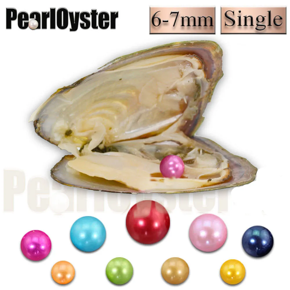 Neu angekommen 6-7mm Perle Natural Austern Oval Runde Perle Geschenk DIY Perle für Pedant Halsketten Dekorationen Vakuumverpackung