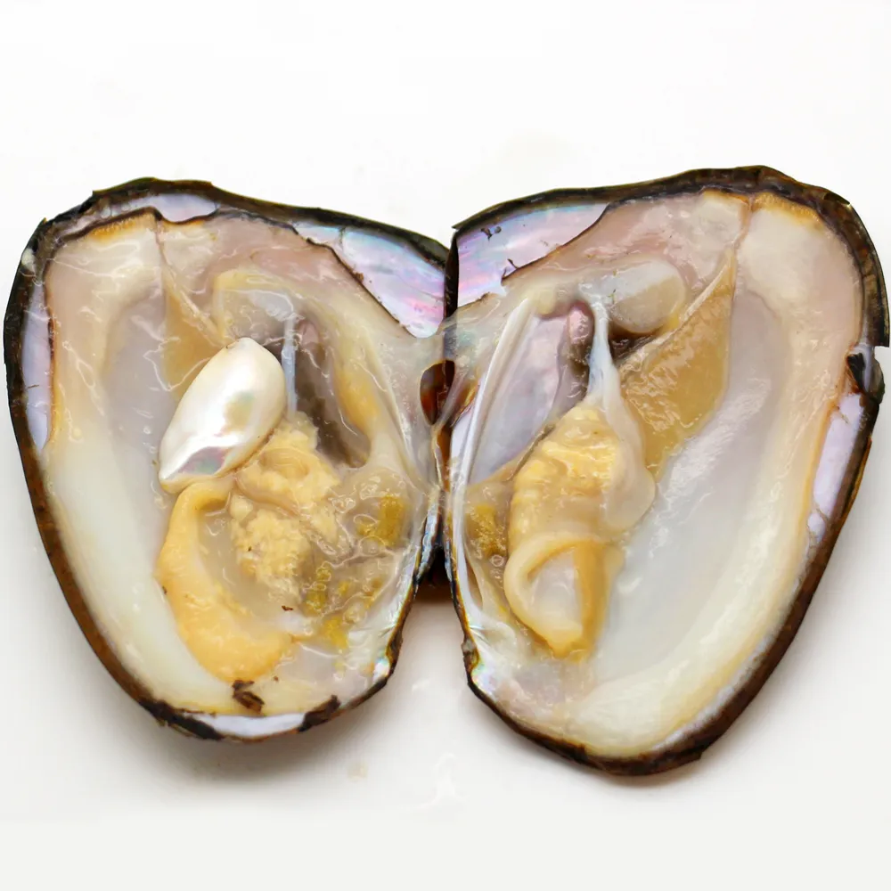 2022 Personalidade de cor natural de ￡gua doce de ￡gua doce natural e pacote exclusivo de p￩rolas e oyster pacote de pacote surpresa para fami