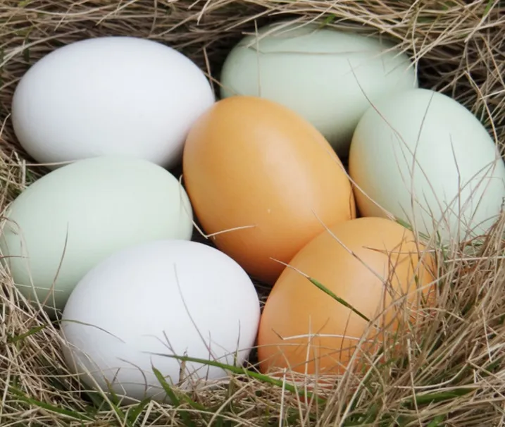 4 adet Ahşap Sahte Yumurta çocuk Oyuncakları DIY yaratıcı Boyalı grafiti oyuncak simülasyon yumurta ahşap Paskalya Yumurtaları -3 Renk