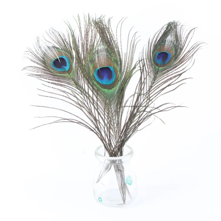 Materiais decorativos elegantes Real Natural Peacock Feather Beautiful Feathers cerca de 25 a 30 cm frete grátis HJ170