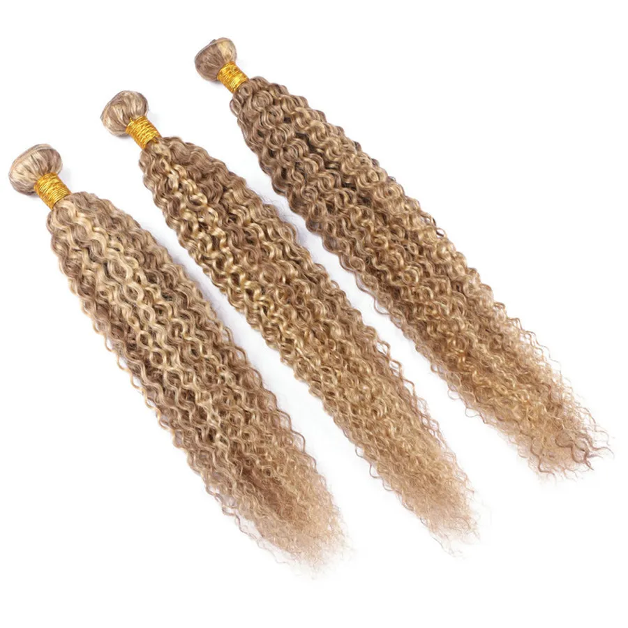 Bundles de cheveux humains vierges péruviens Afro Kinky 27 613 Brown et Blonde 3 Bundles Mélange de cheveux Offres d'extension de cheveux de piano