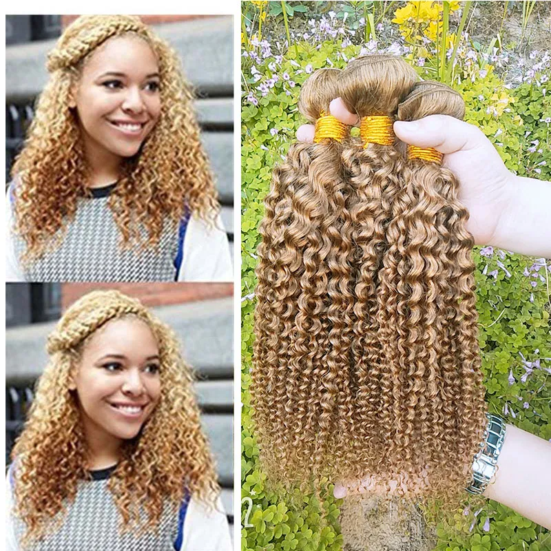 Brazilian Kinky Curly Virgin Hair Weave Colored 27# Human Hair 3 Bundles Top Selling Brazilian Virgin Human Hair Weave Extensions