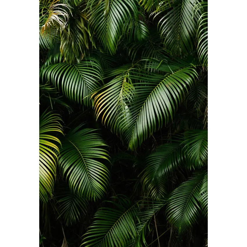 Dark Green Tropical Leaves Backdrop for Photography Newborn Baby Shower Props Wedding Birthday Party Photo Booth Background