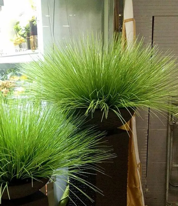 60cm Artificial flower simulation grass leaf onion grass silk flower decoration flower arranging lawn engineering simulation plants AP006