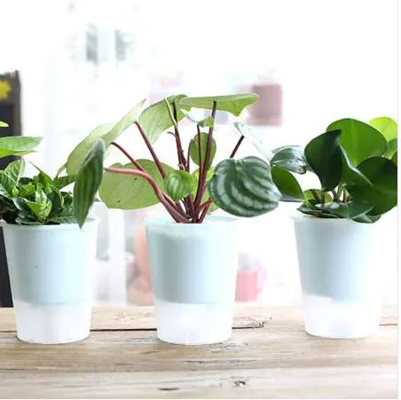 새로운 플라스틱 투명 셀프 급수 재배자 꽃 냄비 집 정원 장식