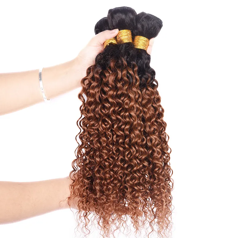 Kinky Curly 1B30 HUND HAIR WEAVE 컬러 Malaysian Brazilian Peruvian Virgin Human Hair Bundles Ombre Auburn l5580506