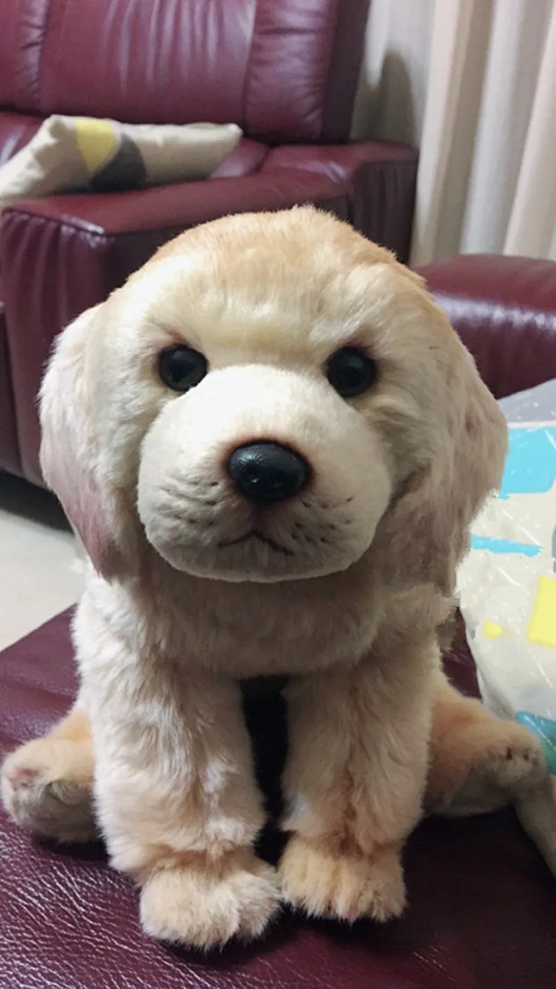 Dorimytrader qualidade animal macio Labrador brinquedo de pelúcia bichos de pelúcia boneca de cachorro para presente de bebê decoração de carro 13x11x11cm DY501295713149