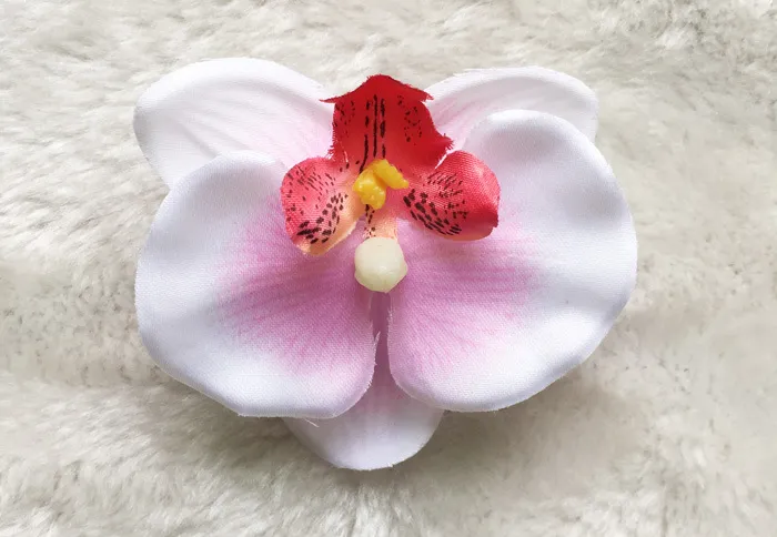 20 Stück 3 Zoll weiße Phalaenopsis-Orchideenblumen mit Haarspangen Mädchenkopf Blumenstirnbänder Kinderhaarband Zubehör HD3560