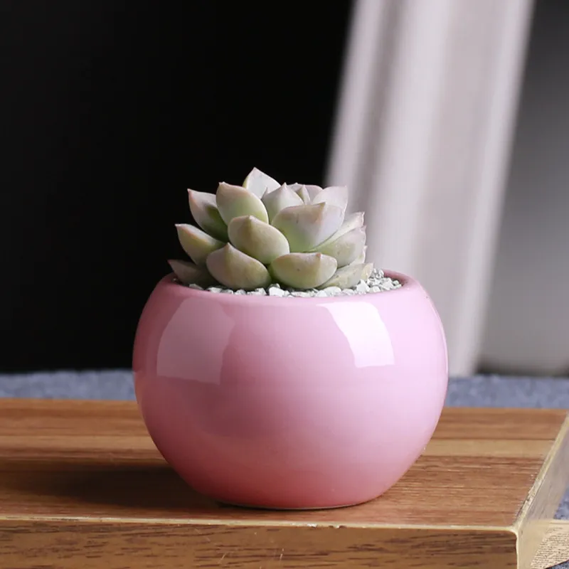 Mode Keramik -Töpfe Sukkulenten Blumentopf kleine Kugel rund weißes Porzellan weiße Farbe Mini kreativ 9 Farben