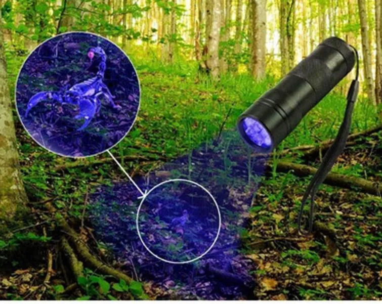 Lampe Torche Nitecore EDC17 - 1500 Lumens - LED Blanche + UV + Laser