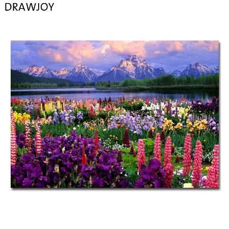 Drawjoy framed 풍경 그림 DIY 유화 숫자로 그림 그리기 홈 장식 벽 아트 GX21019 40x50cm