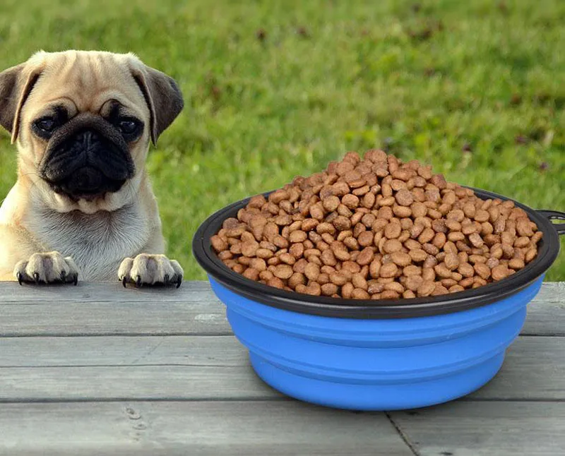 Expandable dog sales bowl