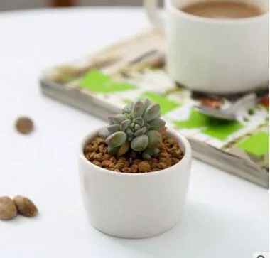 keramiska bonsai krukor grossist mini vita porslin blomkrukor leverantörer för sådd succulent inomhus hemskammare plantor