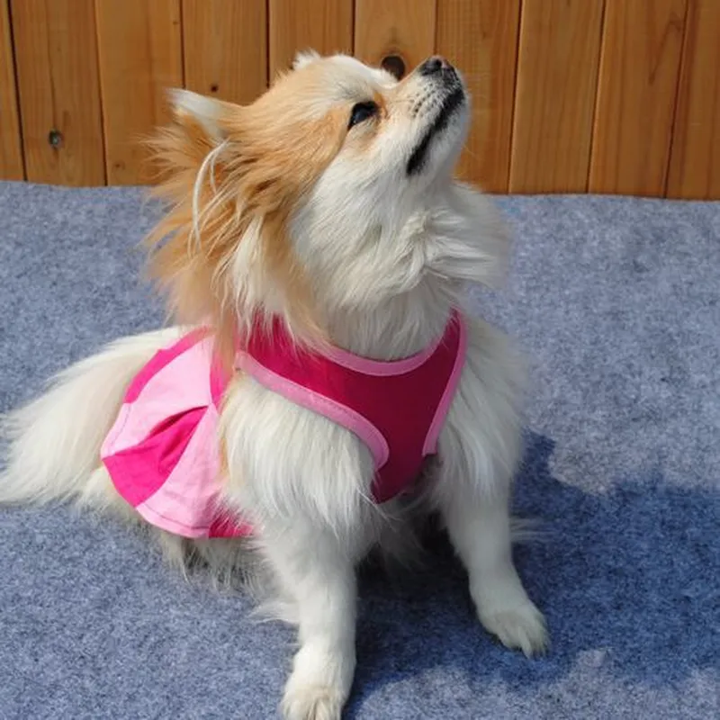 Spitzenkleid Für Kleine Hunde – Atmungsaktiv, Mit Schleife, Für Frühling & Sommer