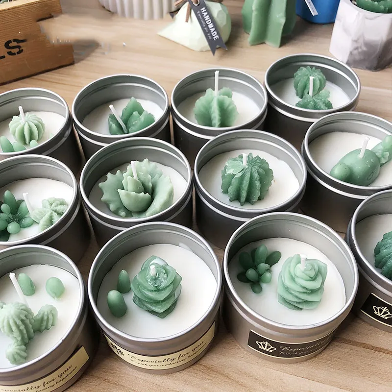 Stampi Per Candele In Silicone 9 Pezzi - Forme Cactus E Piante Grasse, Per Candele E Saponi - Foto 13