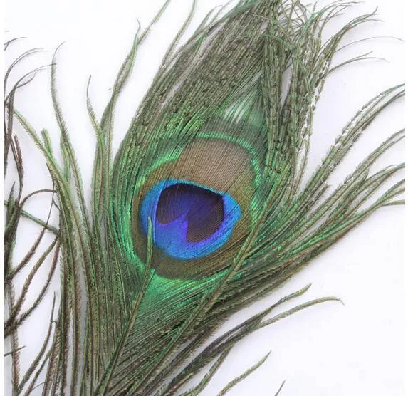 2016 Elegante Decoratieve Materialen Real Natural Peacock Feather Mooie veren Ongeveer 25 tot 30 cm Gratis verzending