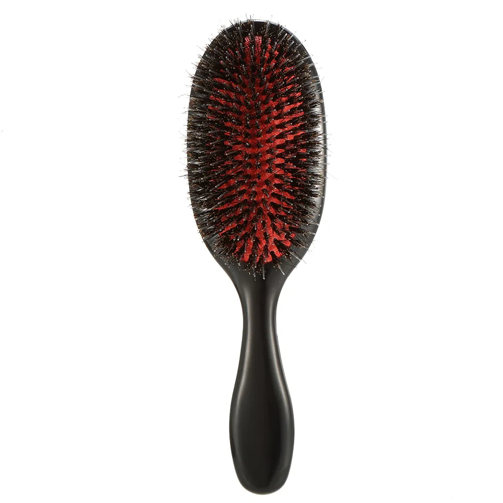 Boar Boar Bristle Nylon Hair Comb Mini Abs Handle Hair Hair Scal Scal Cox Combs Hair -Hairbrush Salon Tool6170685