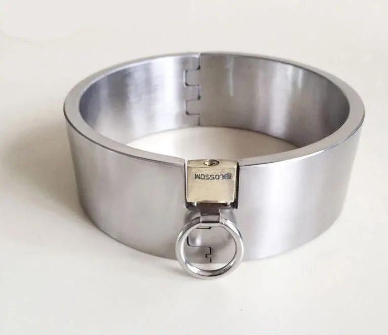 Stainless best sale steel collar