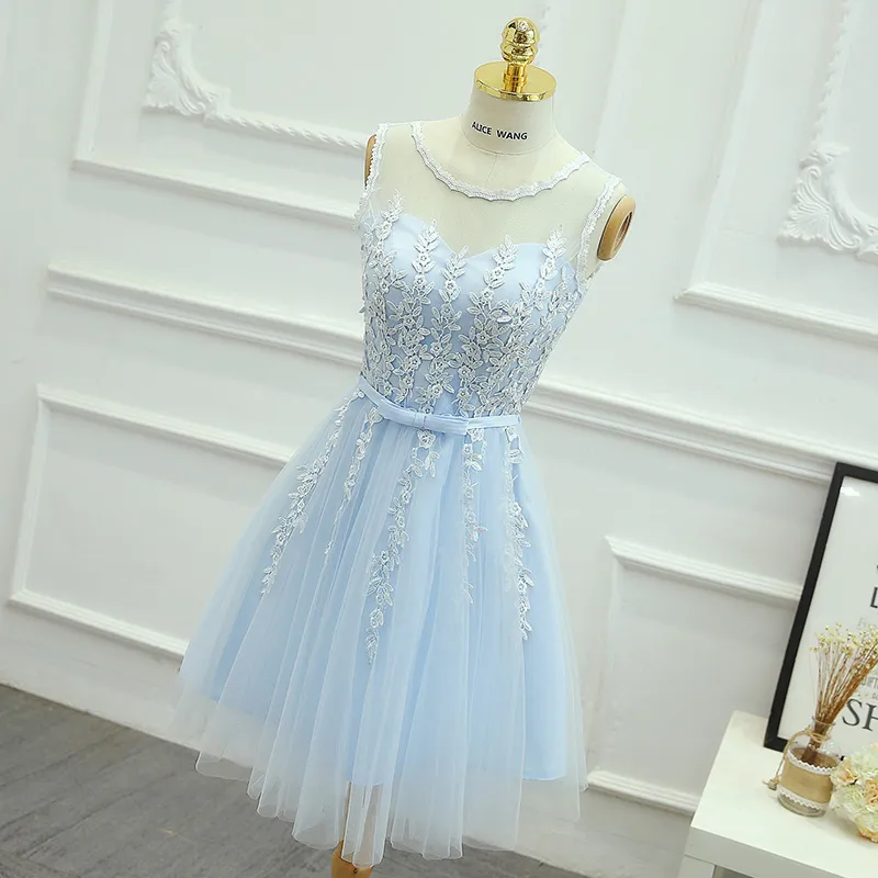 Lovely Sky Light Blue Homecoming Dress Short Party Dress Zipper Back Soft  Tulle Lace from Dhgate Homecoming Dresses - price 92.26