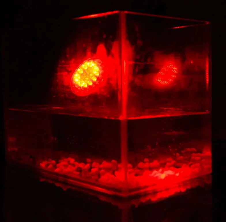 Водонепроницаемый IP68 RGB 36 Светодиодный подводной точечный светильник для бассейна фонтаны пруд водный сад Аквариум аквариумный танк Spotlight Lamp288667049