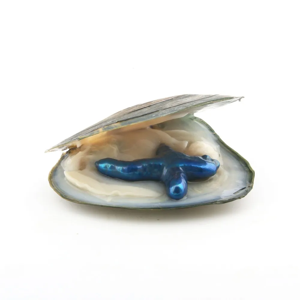 Großhandel DIY Liebe Wunsch Perle Auster Süßwasser Querform Perle Luxus Schmuck mit Perlen in Vakuumverpackt
