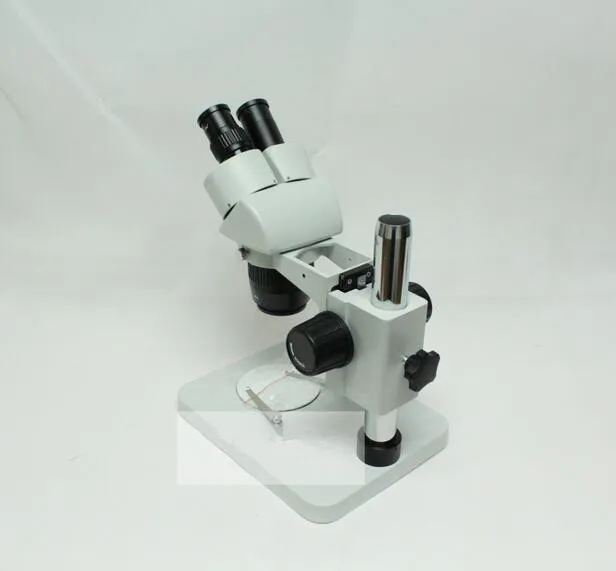ST60-24B1 Verrekijker Stereo Microscoop Snelle verzending