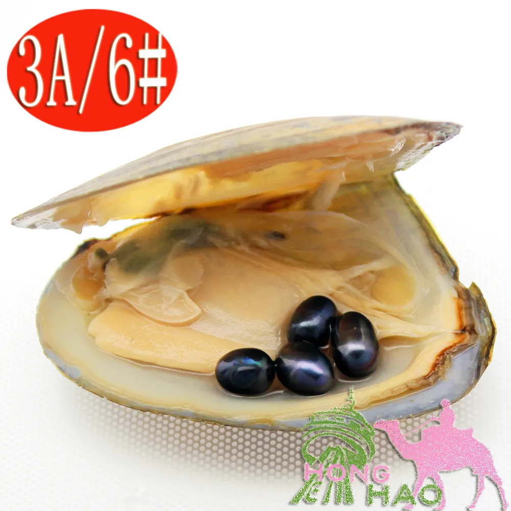 Natural Freshwater Pearl Oyster 6-8mm #6 Black Pearl in Triangle Oyster Vacuum Packaging Party Surprise Gift