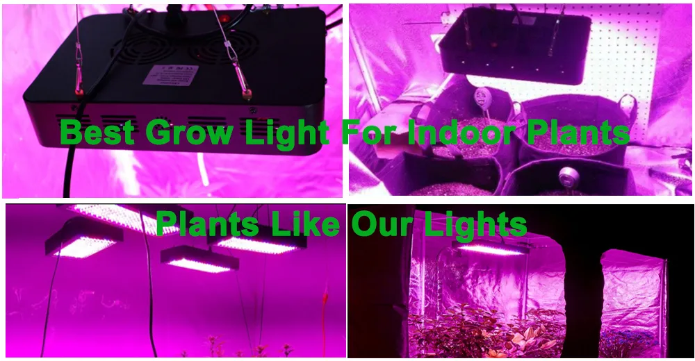 Bestva LED ROST LIGHT 300/600/800/1000 / 1200/1500 / 1800/2000 Вт Полный спектр для внутреннего теплицы растут палатки растения растут светодиодный свет