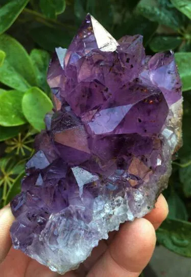 + Améthyste naturelle beau spécimen de grappe de cristal de géode de QUARTZ violet