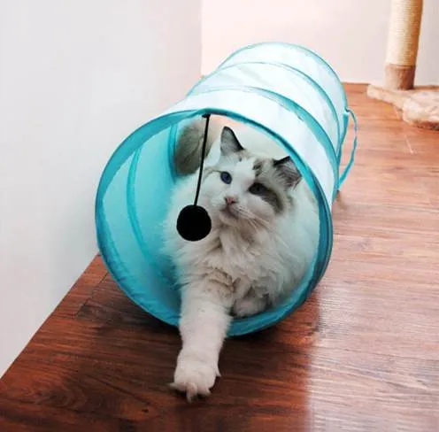 Tunnel pour chat Tunnel pour chat pliable drôle avec balle chaton jouet pour animaux de compagnie pour chaton chiot lapin 3 couleurs jouet pour chat