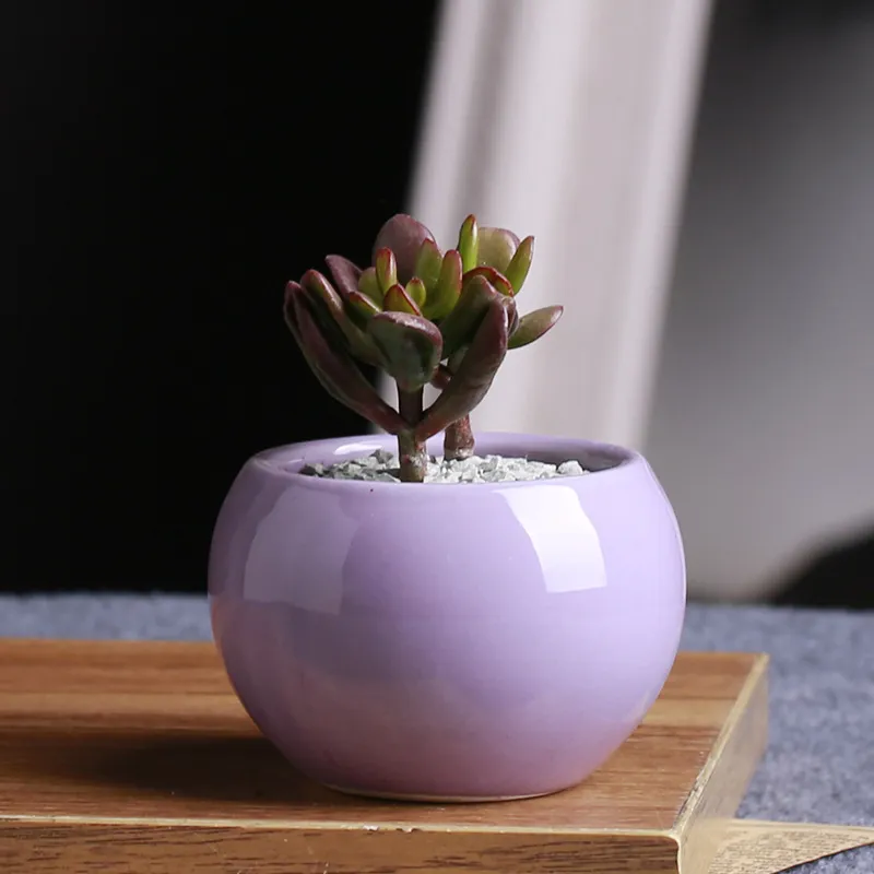 Fashion Ceramic Pots Succulents Flower Pot Small Ball Round White Porcelain White Color Mini Creative 