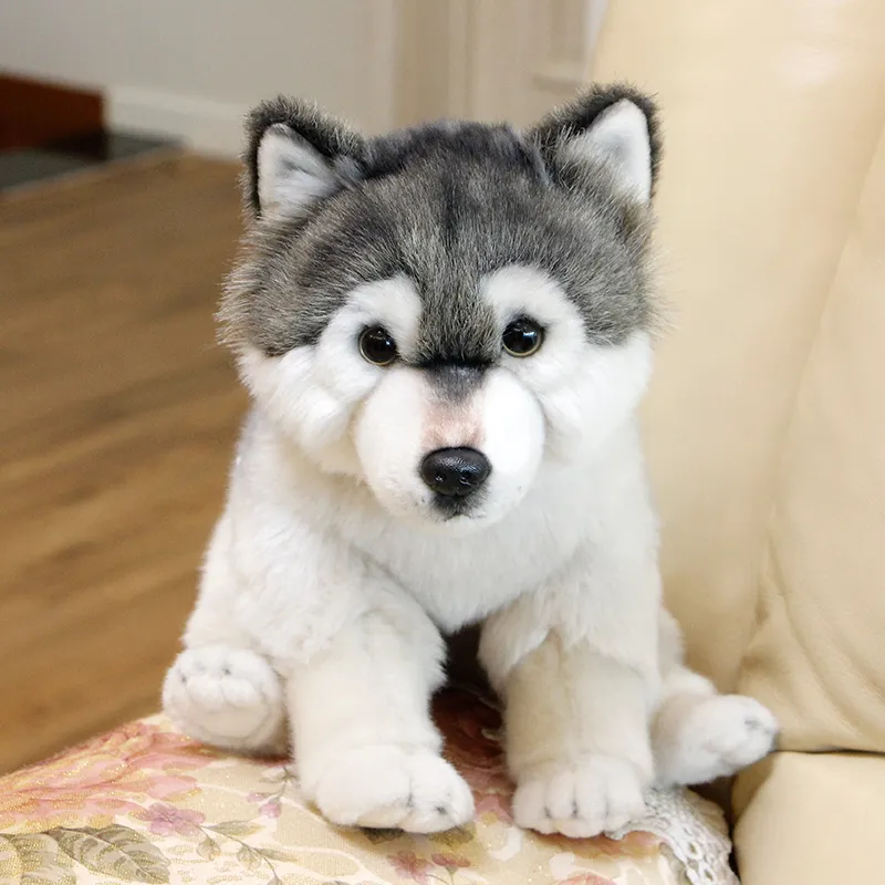 Dorimytrader quality soft simulation animal wolf plush doll mini stuffed husky dog toy pet animals kids gift 27x16x24cm DY50120