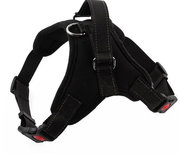 Valphund Bröstkrage Nylon Robust hund Harness Rivet Dekorativa husdjur Leases For Dogs Supplies Tillbehör Många färger3832199