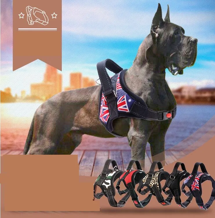 Pet Dog Vest Harness Leash Collar Set Justerbar Små Medium Stor XL Pet Dog Tillbehör Leashes Collars