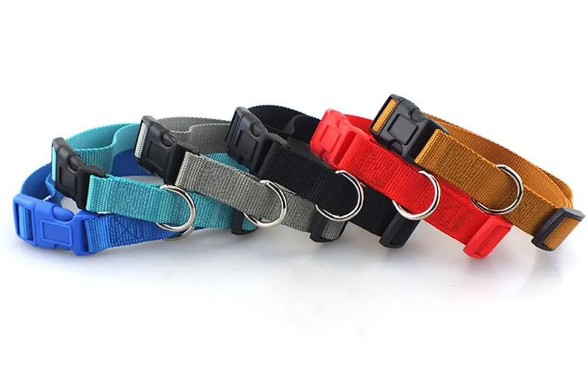 Hundband högkvalitativt vanligt färgad polyesterkrage, nylon husdjurhalsband, hundhalsband, små och medelstora hundprodukter L465