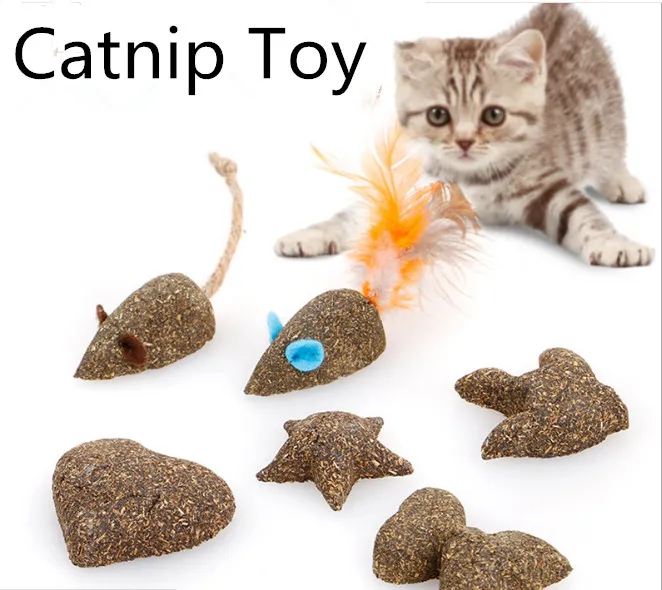Pet Cat Kitten Toys Catnip Heart Mouse Feather Cat Playing Toys From