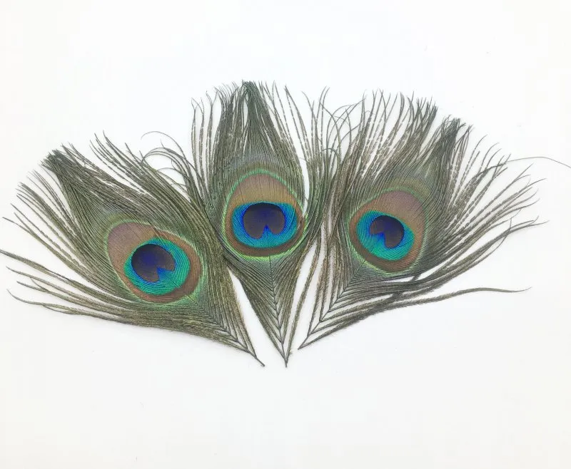 전체 로트 길이 10-15 cm 아름다운 자연 공작 공작 깃털 결혼식 파티 무대 장식 패션 정말 Peck Feath351w