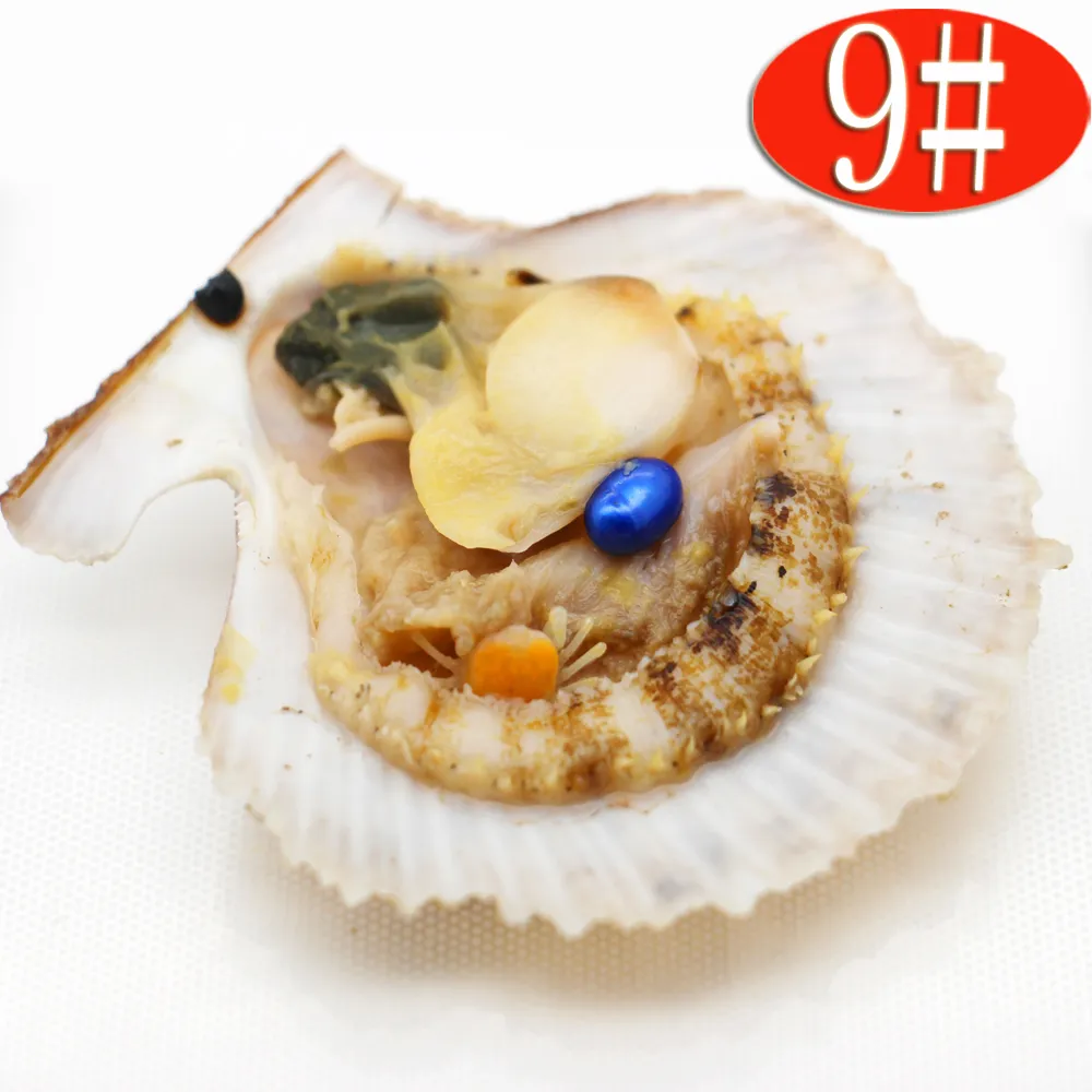 Emballage sous vide en gros huître perlière salée huître coquille rouge 1 pièces 6-8mm ovale #9 perle bleue