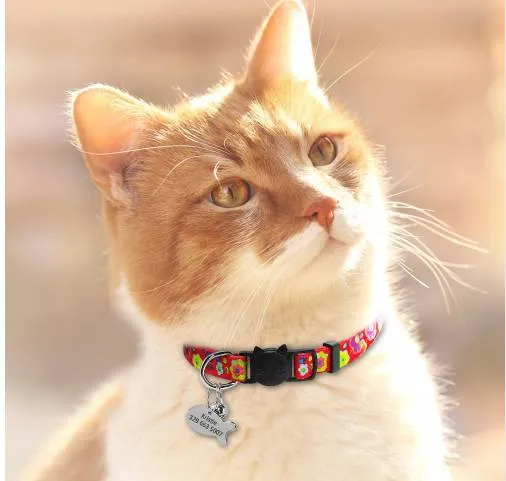 Collier de cloche de chat de chaton de chien de dégagement rapide de libération avec l'étiquette d'identification personnalisée d'animal familier