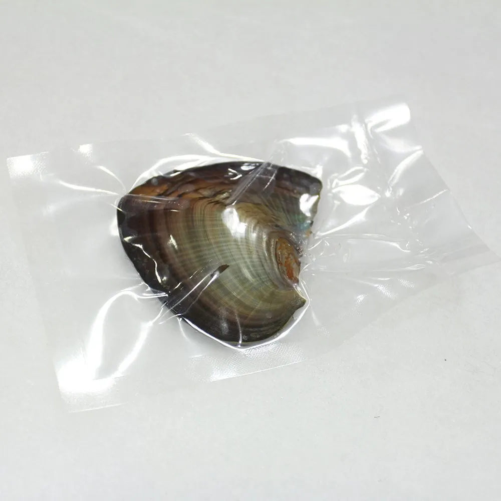 2020 neue Akoya Qualität billig Liebe Süßwasser Shell Perlmuschel 6-7mm Perlmuschel mit Vakuumverpackung / Los