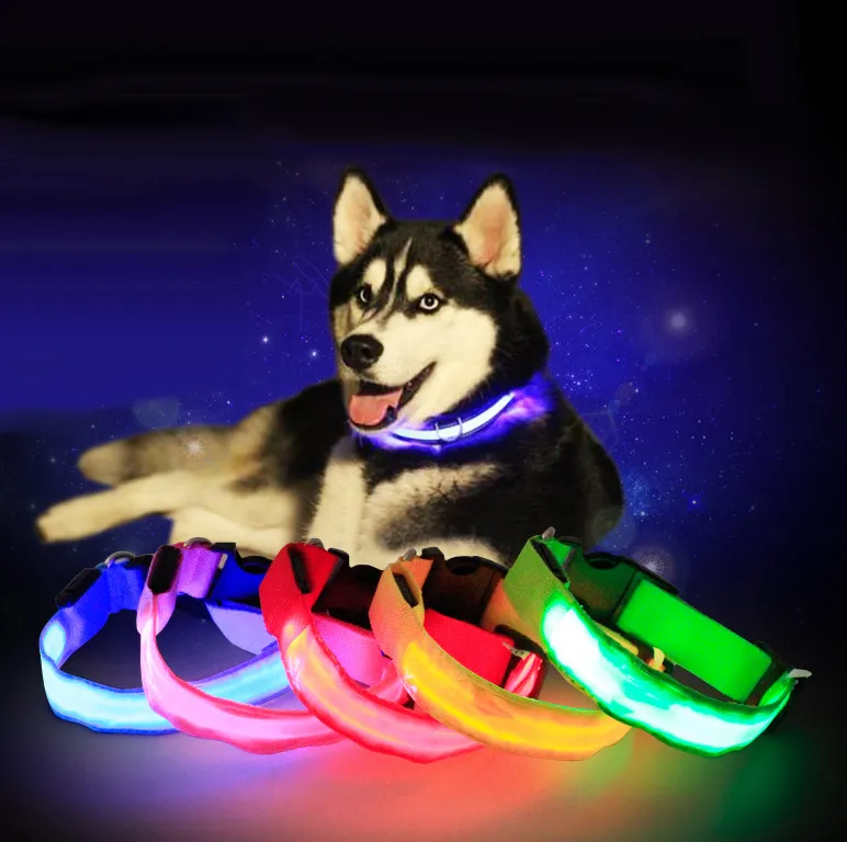Pet Dog Collar LED Flash Collars Dog Cat Collars Flashlights Teddy