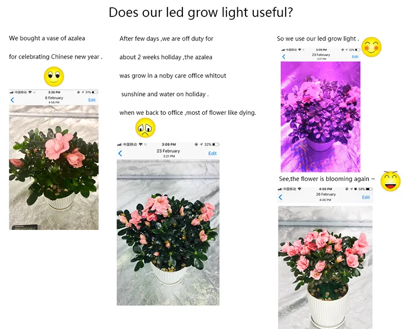 GnHok LED-Wachstumslicht Elite-600 W Vollspektrum für Zimmergewächshaus-Wachstumszeltpflanzen wachsen mit LED-Licht im Gemüse- und Blütemodus