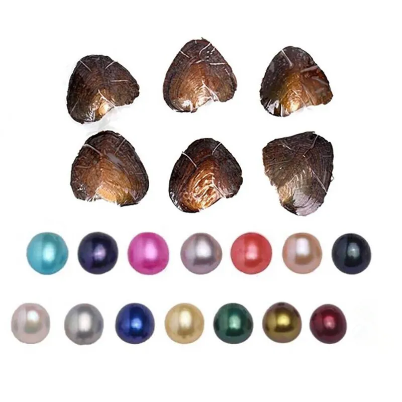 Buy Best And Latest Loose Beads Material Pearls Oyster Party Harvest