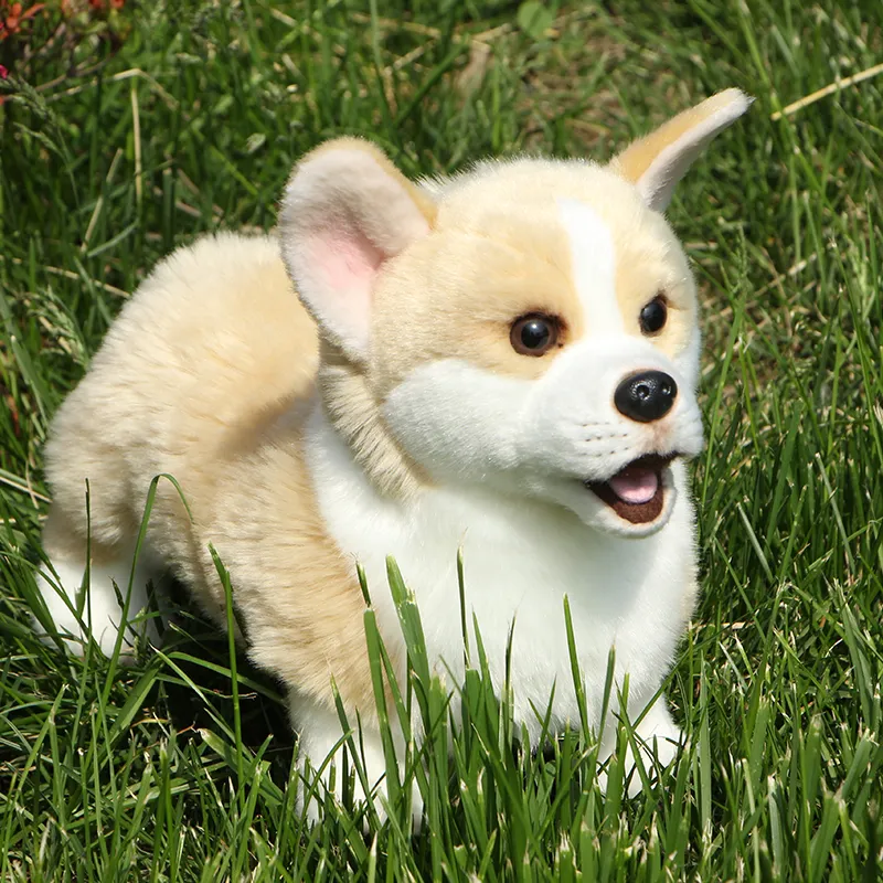 Corgi Stuffed Toy: Mini Plush Animals, 12 Inch Stuffed Animals