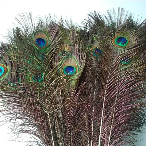 Materiais decorativos elegantes Real Natural Peacock Feather Beautiful Feathers cerca de 25 a 30 cm frete grátis HJ170